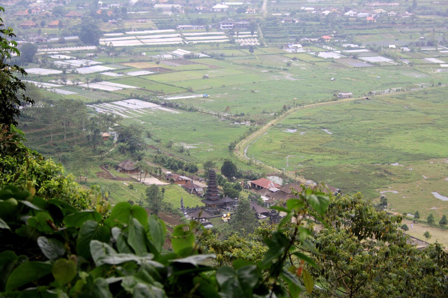 nature in the mountains of bali photo
