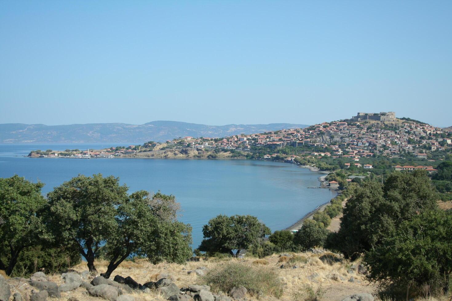 Greek landscape with the mediterranean sea at the background, lesbos, greece photo