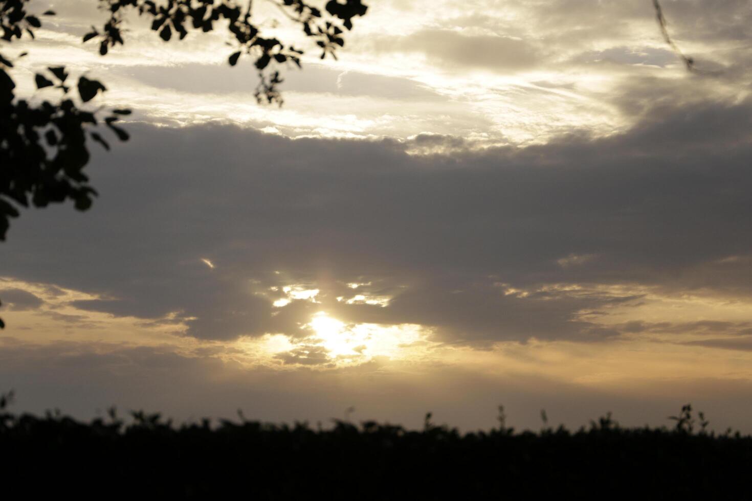 sunset in the netherlands, clouds, colors photo
