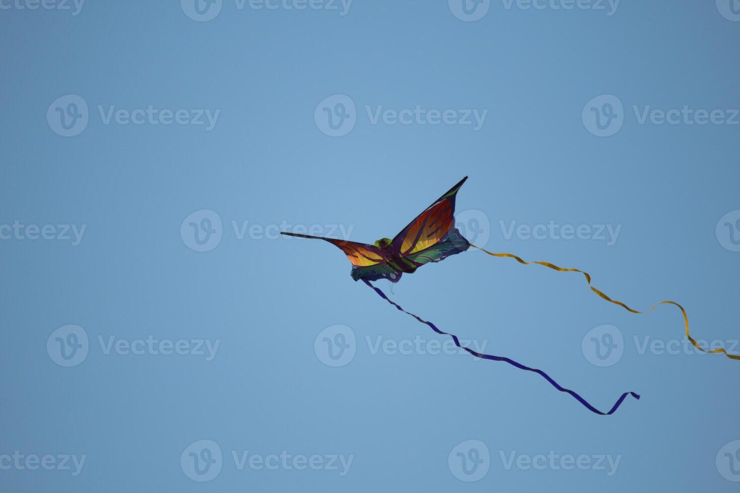 kite flies in the sky playing at the beach, the north sea at petten, the netherlands photo