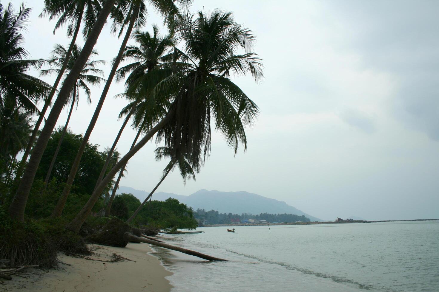 tropical beach, paradise, koh phangan island, thailand photo