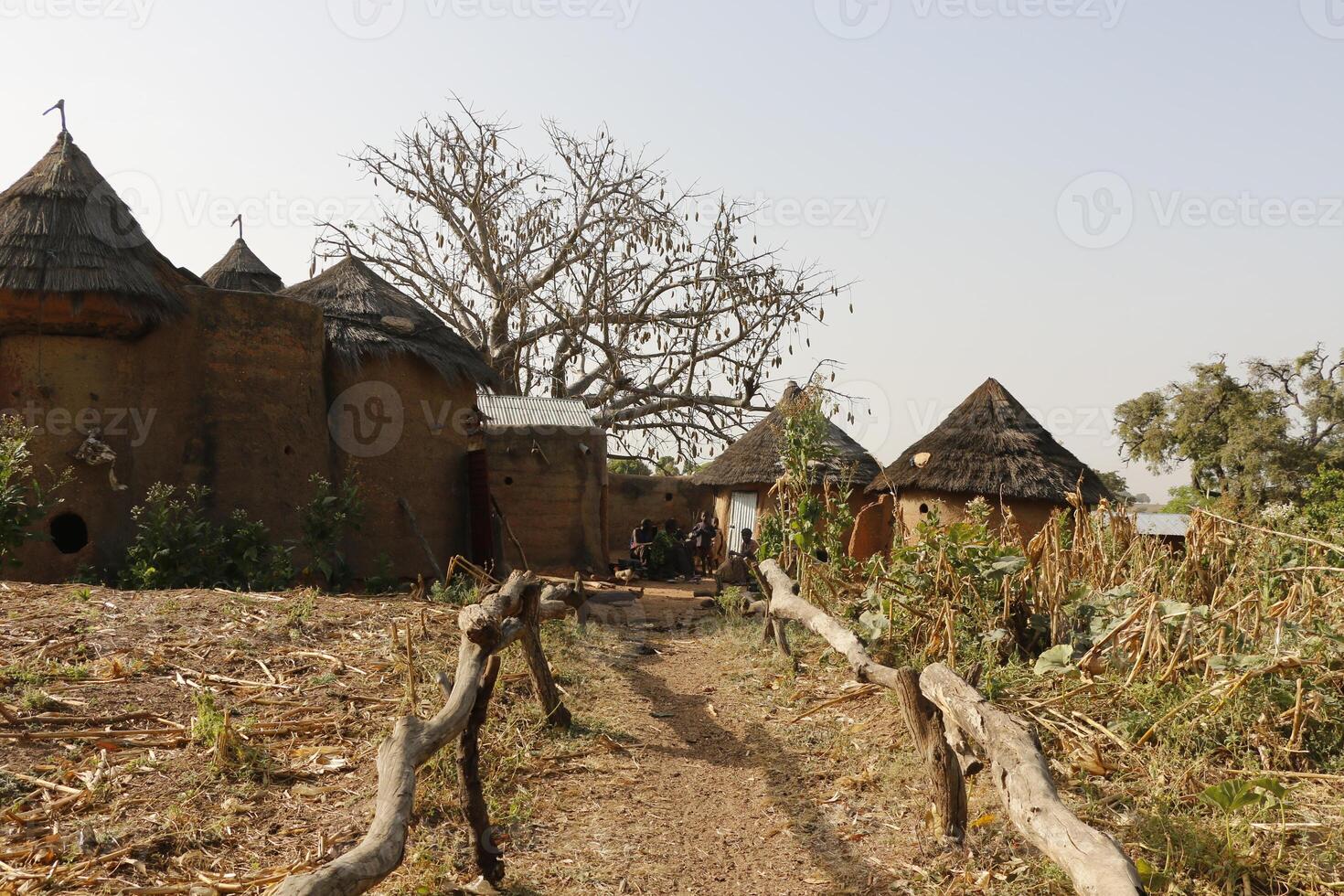 Tata Somba villages in the north of Benin photo