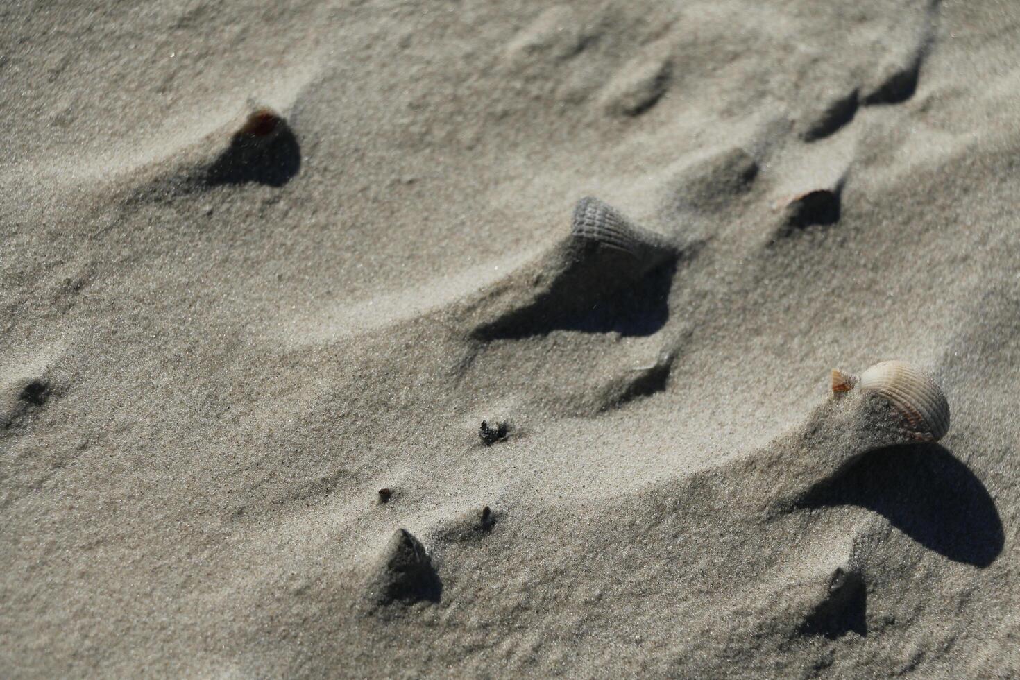 sand at the beach, vlieland, the netherlands photo