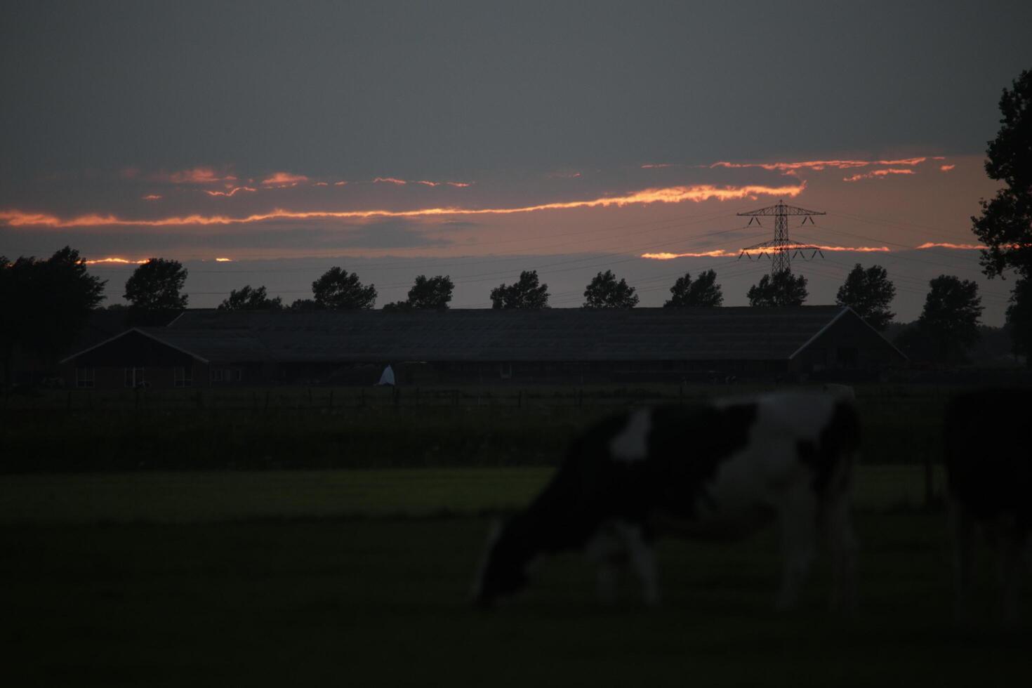 sunset in the netherlands, clouds, colors photo