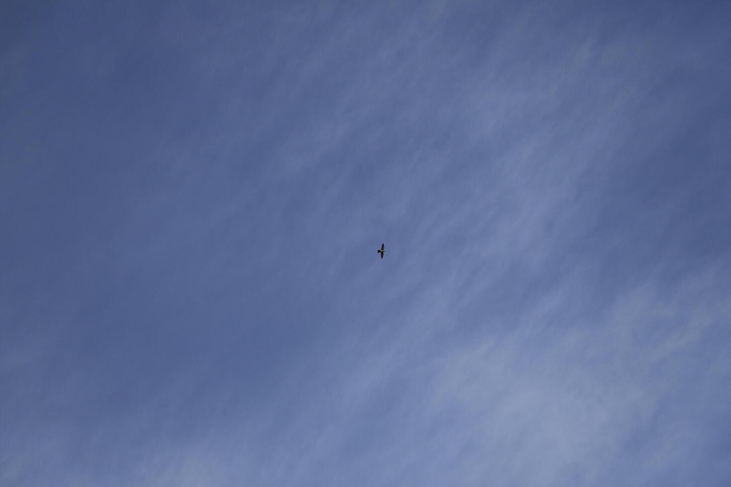 blue sky with some clouds photo