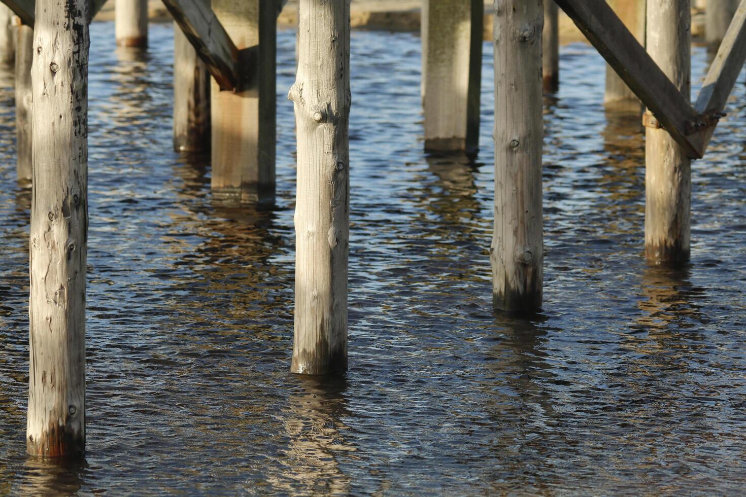 poles in the the north sea at petten, the netherlands photo