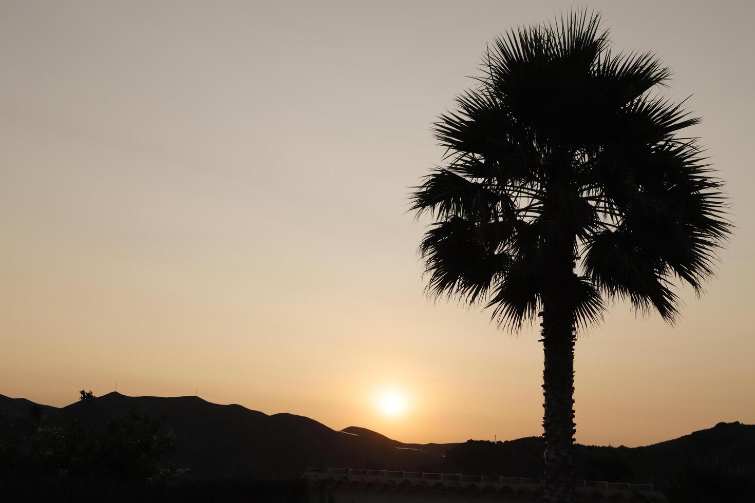 silhouette of mountains and palm tree,sunset in the mountains, spain photo
