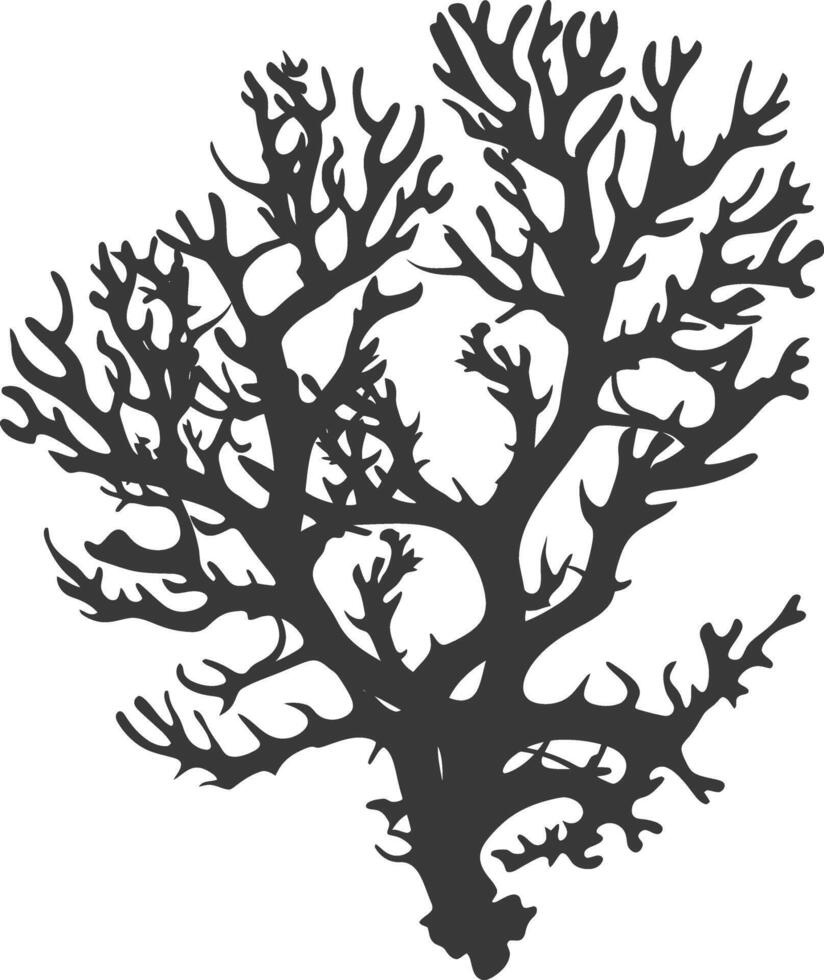 silhouette corals are marine invertebrate animal black color only vector