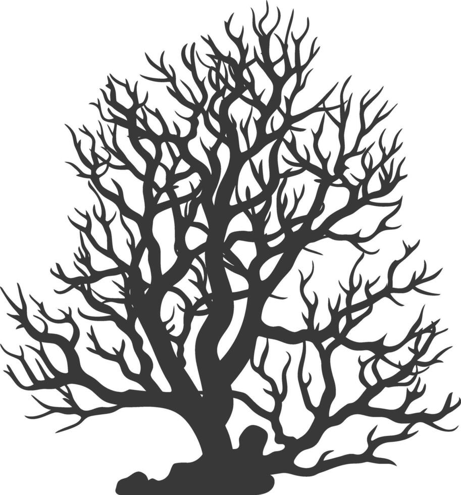 silhouette corals are marine invertebrate animal black color only vector