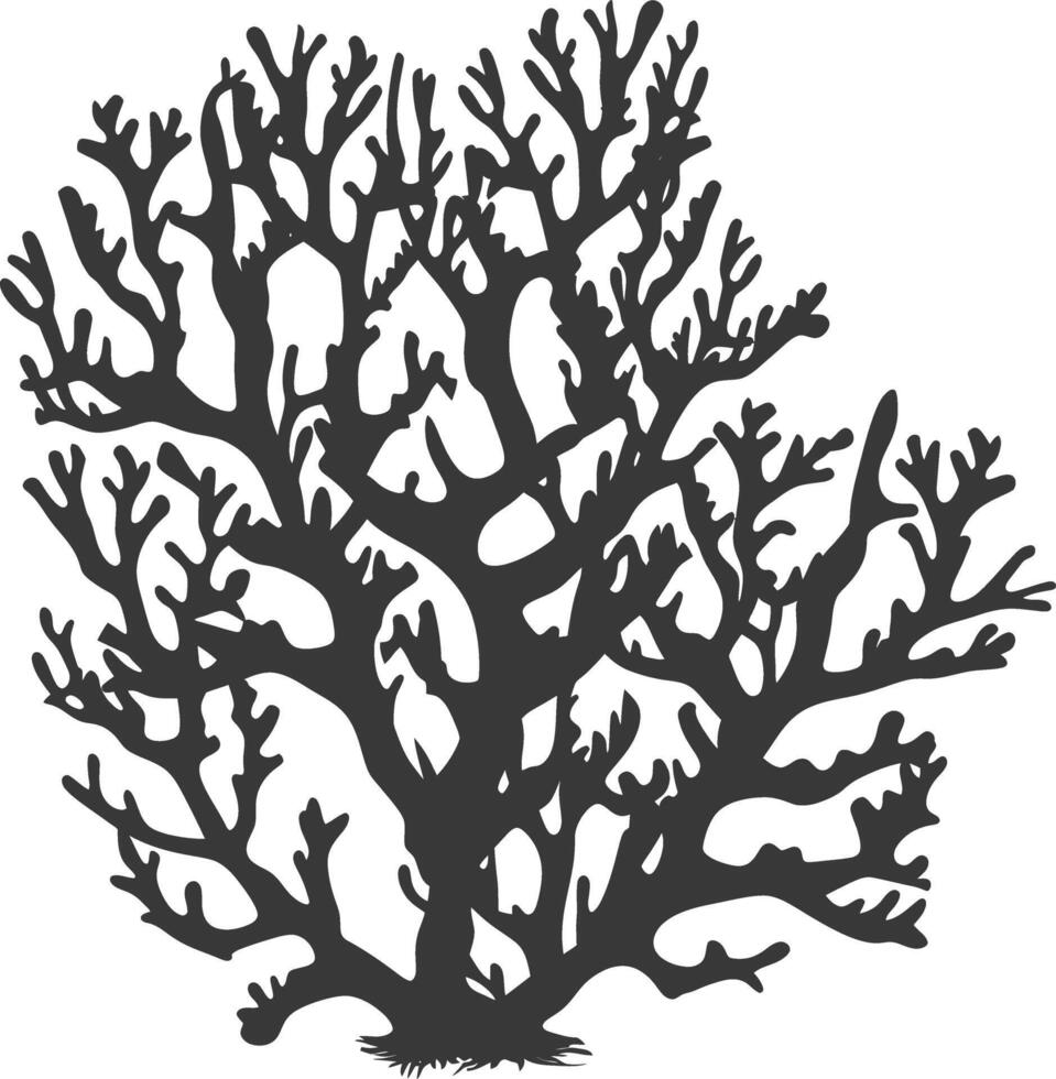 silhouette corals are marine invertebrate animal black color only vector