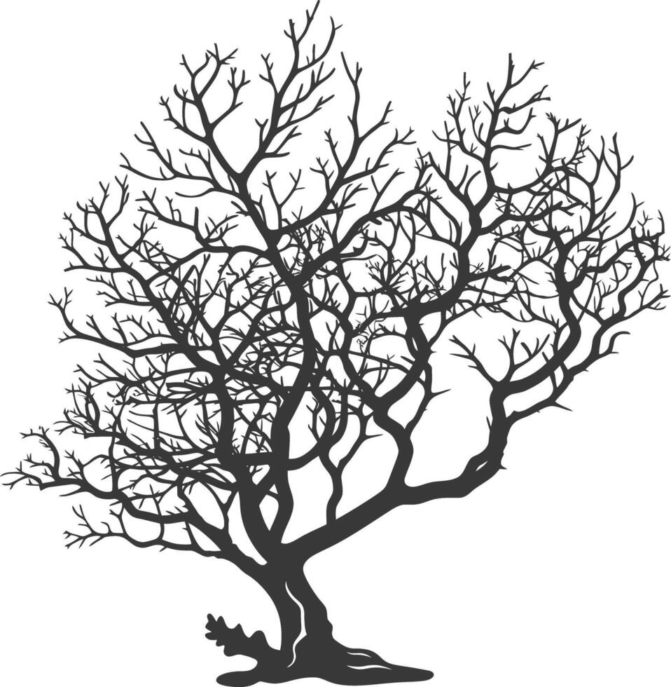 silhouette corals are marine invertebrate animal black color only vector