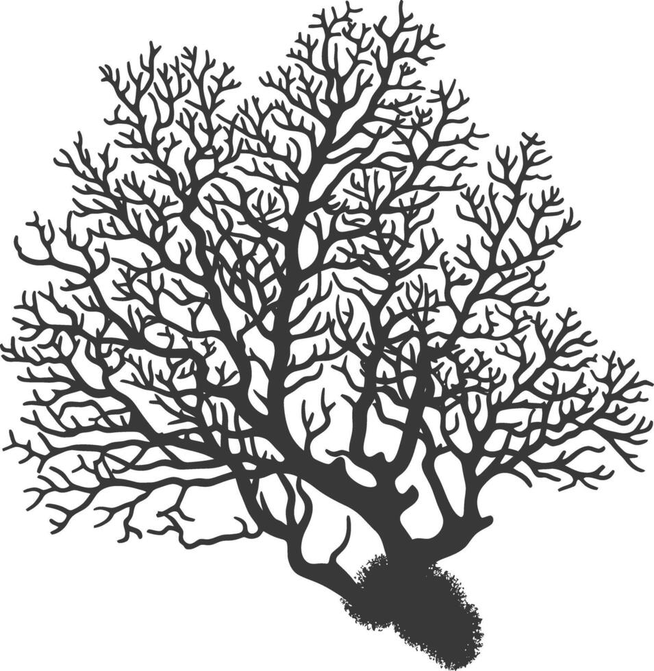silhouette corals are marine invertebrate animal black color only vector