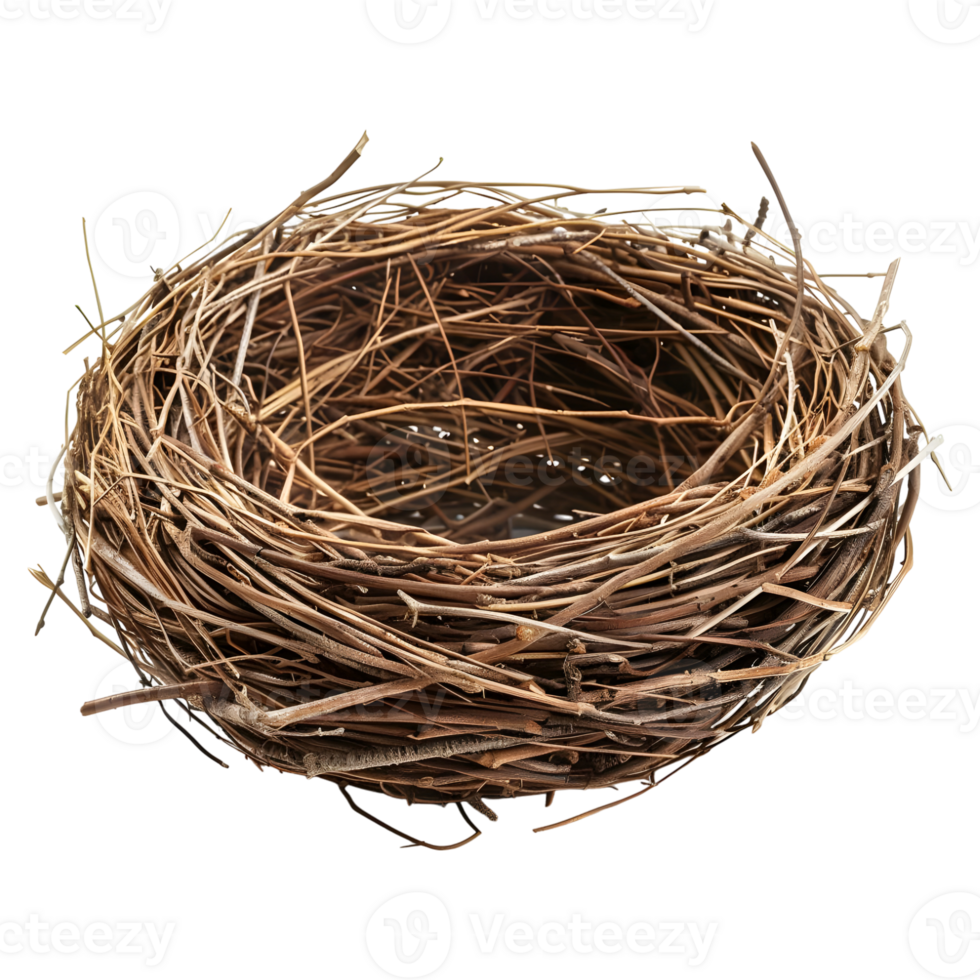 Birds Nest on Transparent Background png