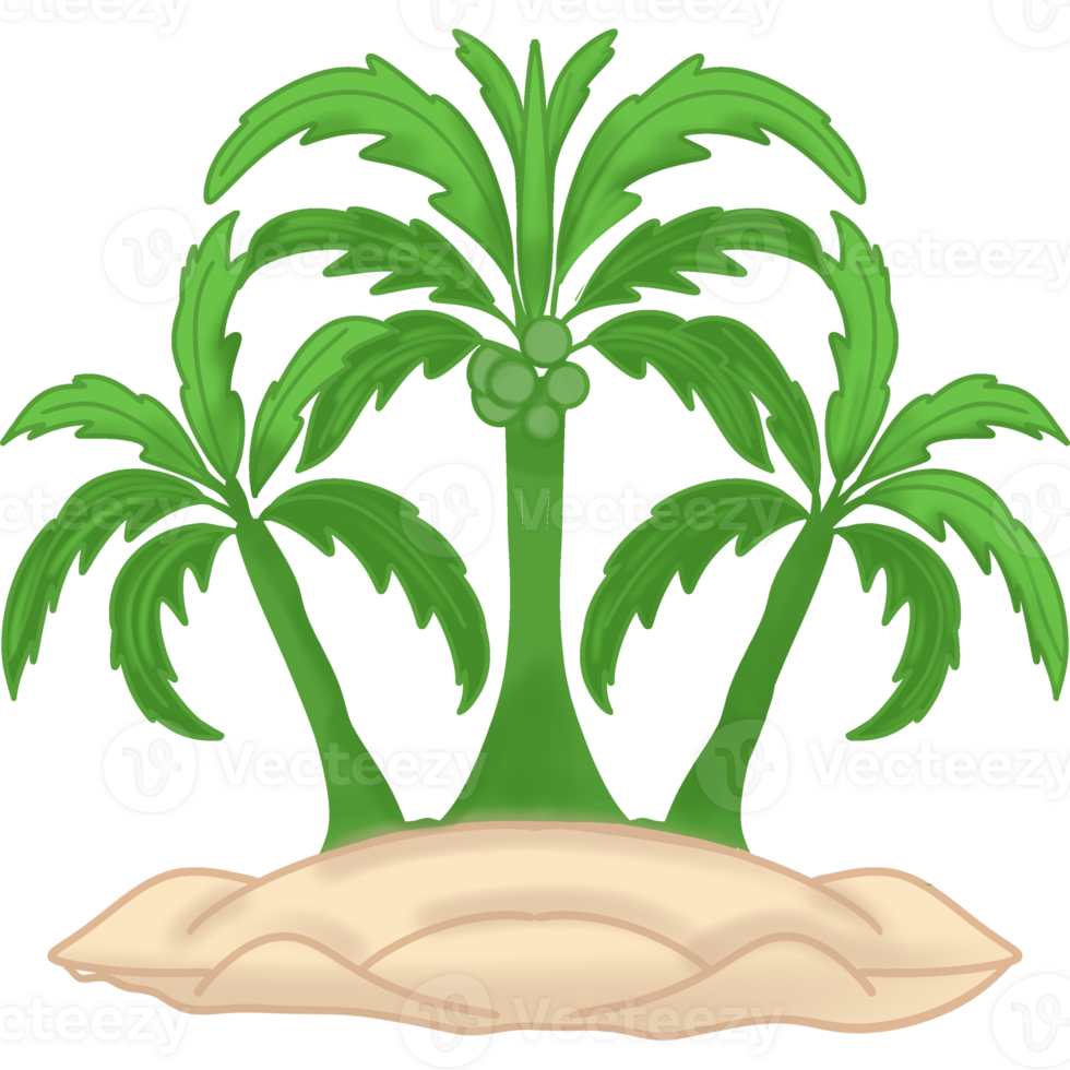 Summer coconut trees png