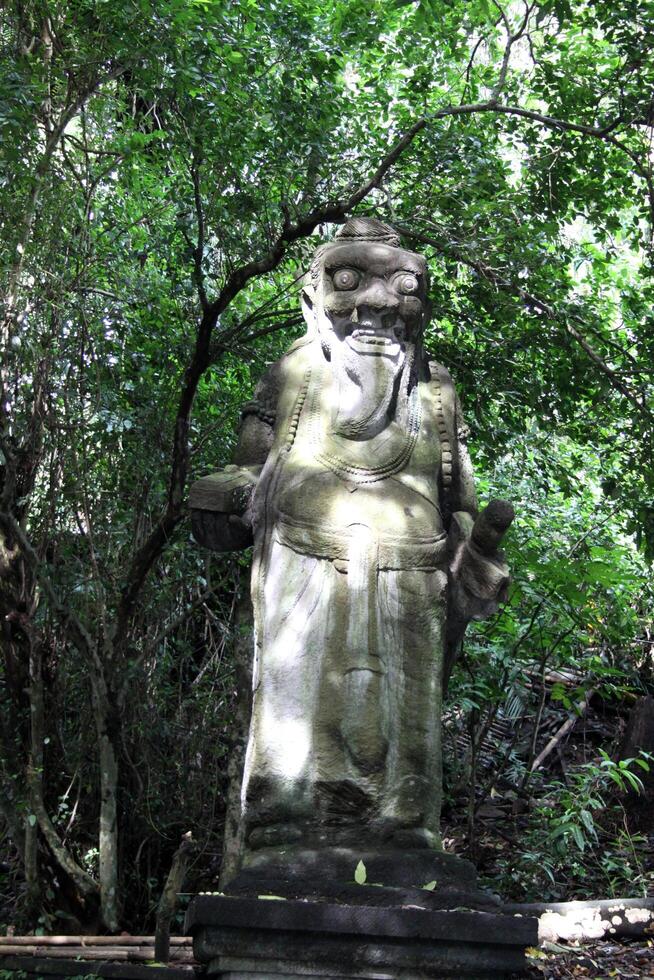 monkey temple in ubud, bali photo