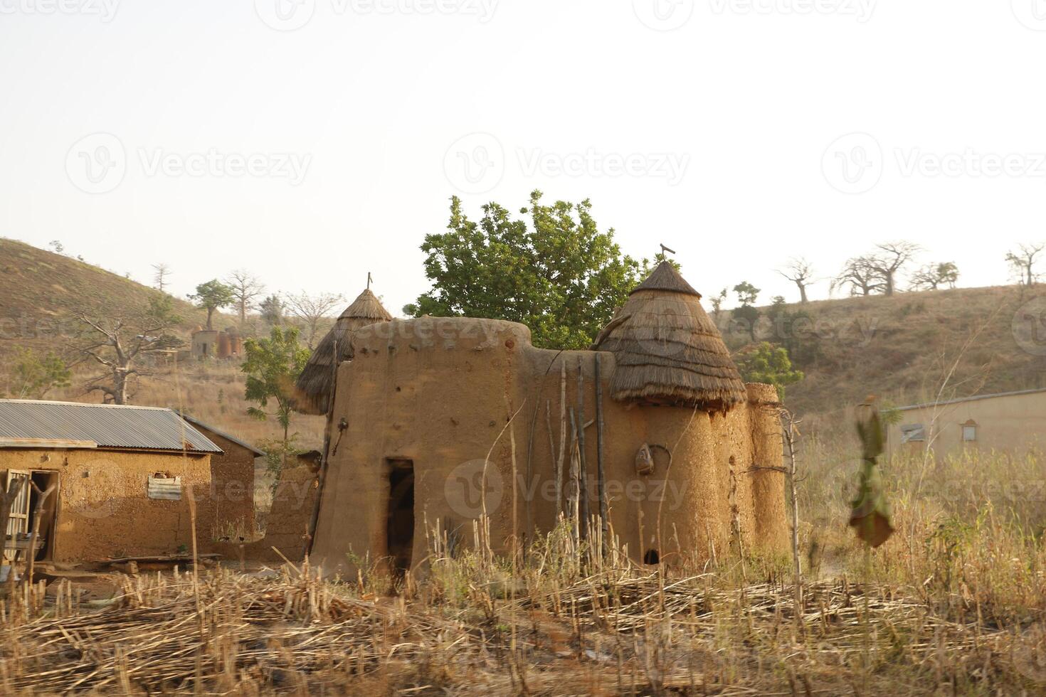 gods in front of a tata somba house photo