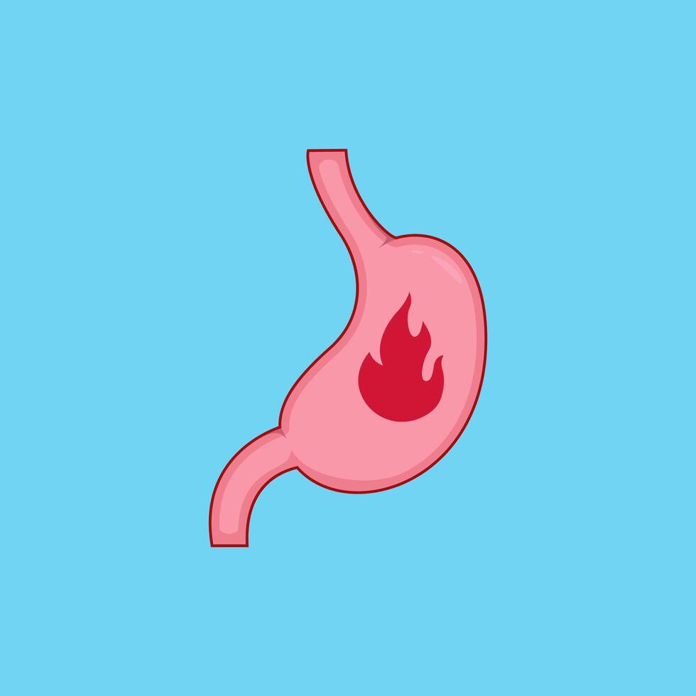 heartburn or indigestion burning feeling stomach cartoon illustration vector