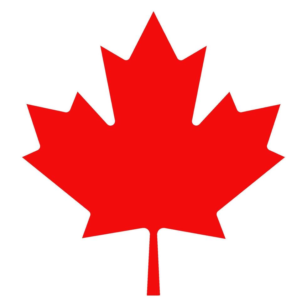 Original red maple leaf from the Canadian flag, isolated on a transparent background. illustration. vector
