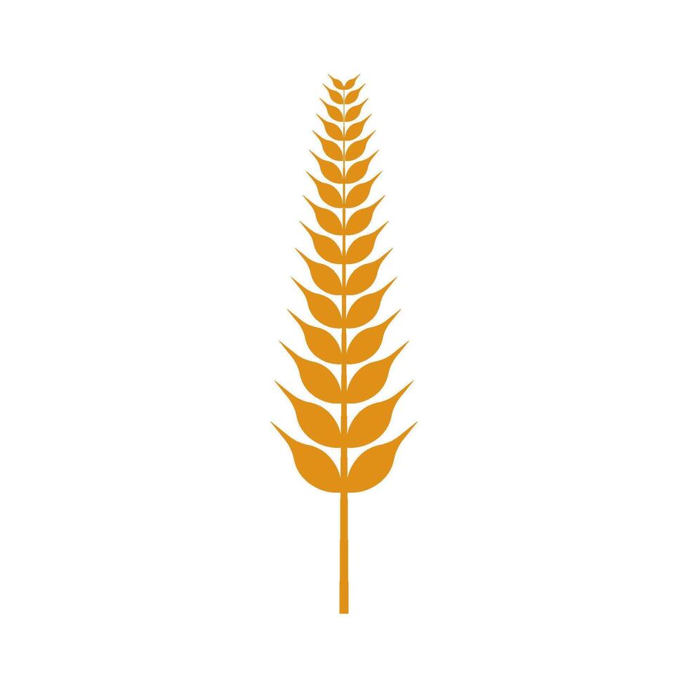 Agriculture wheat Logo vector