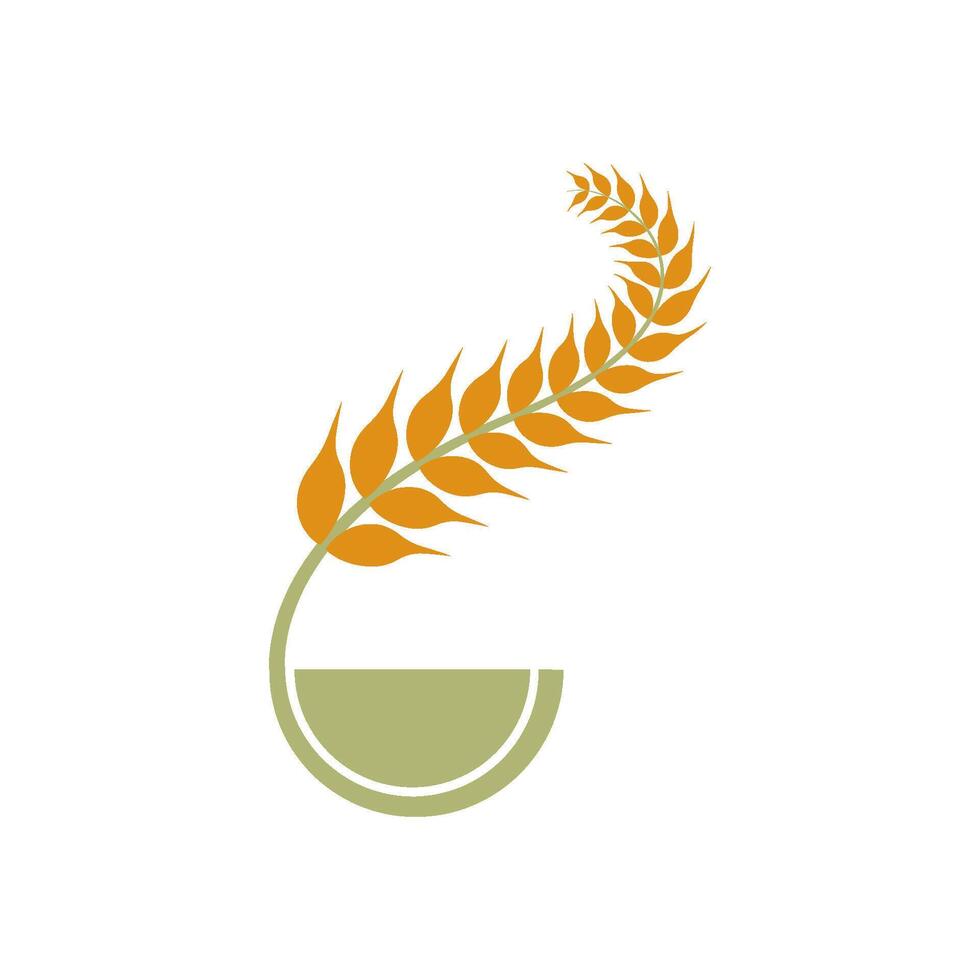 Agriculture wheat Logo vector