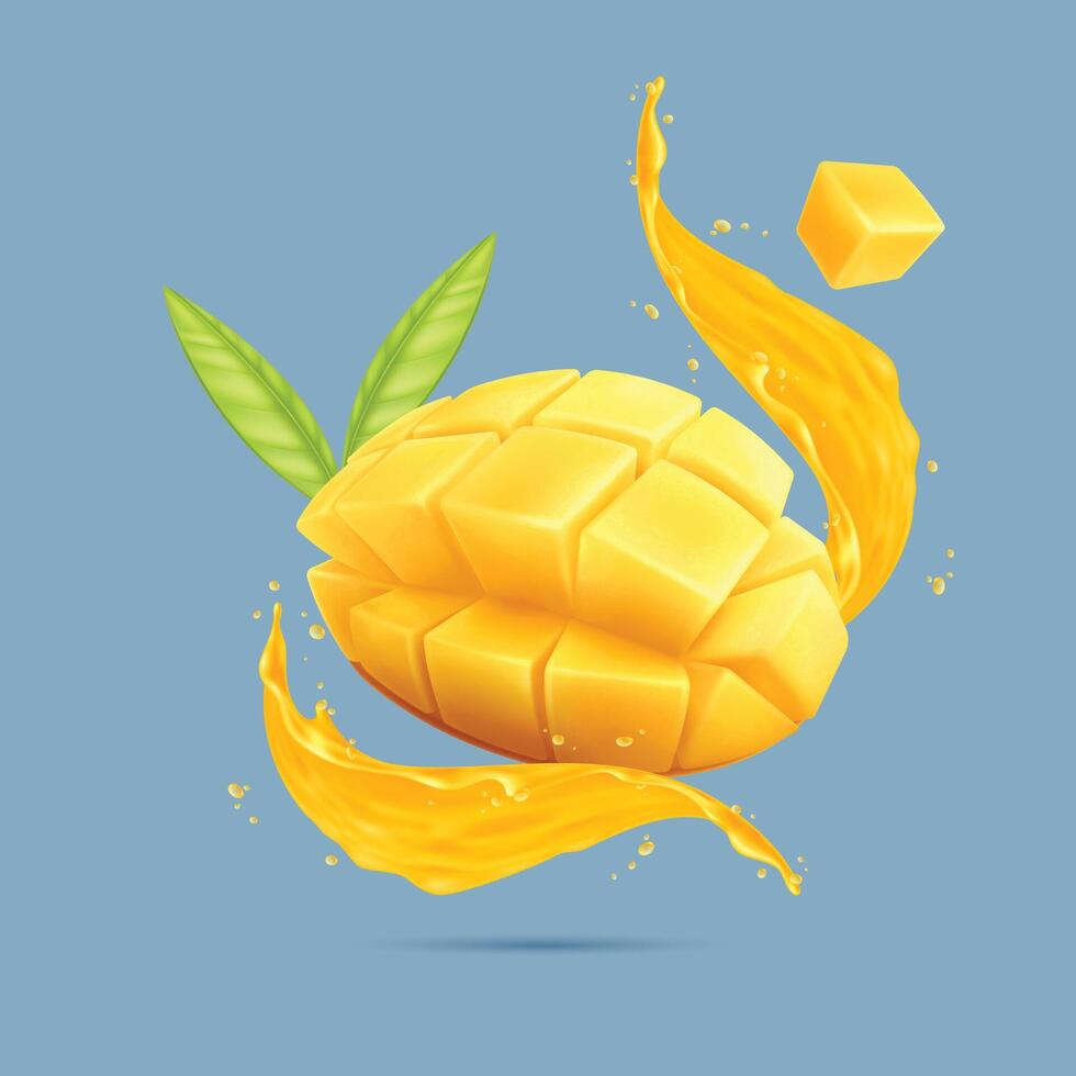 King of Fruits Mango in India vector