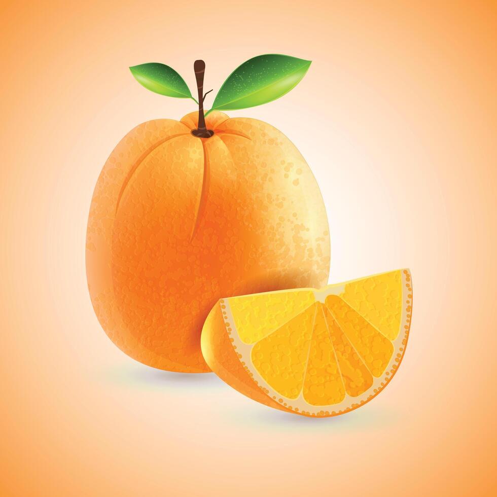 Fresh Orange Fruits with slice Background vector