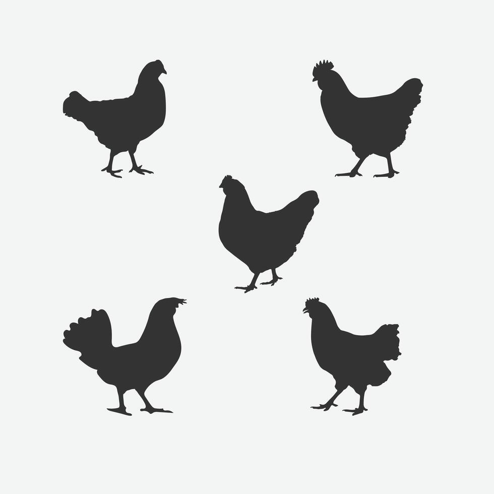 Comprehensive Hen Silhouette Set, An Extensive Collection of Stylish Poultry Outlines for All Your Design Needs vector