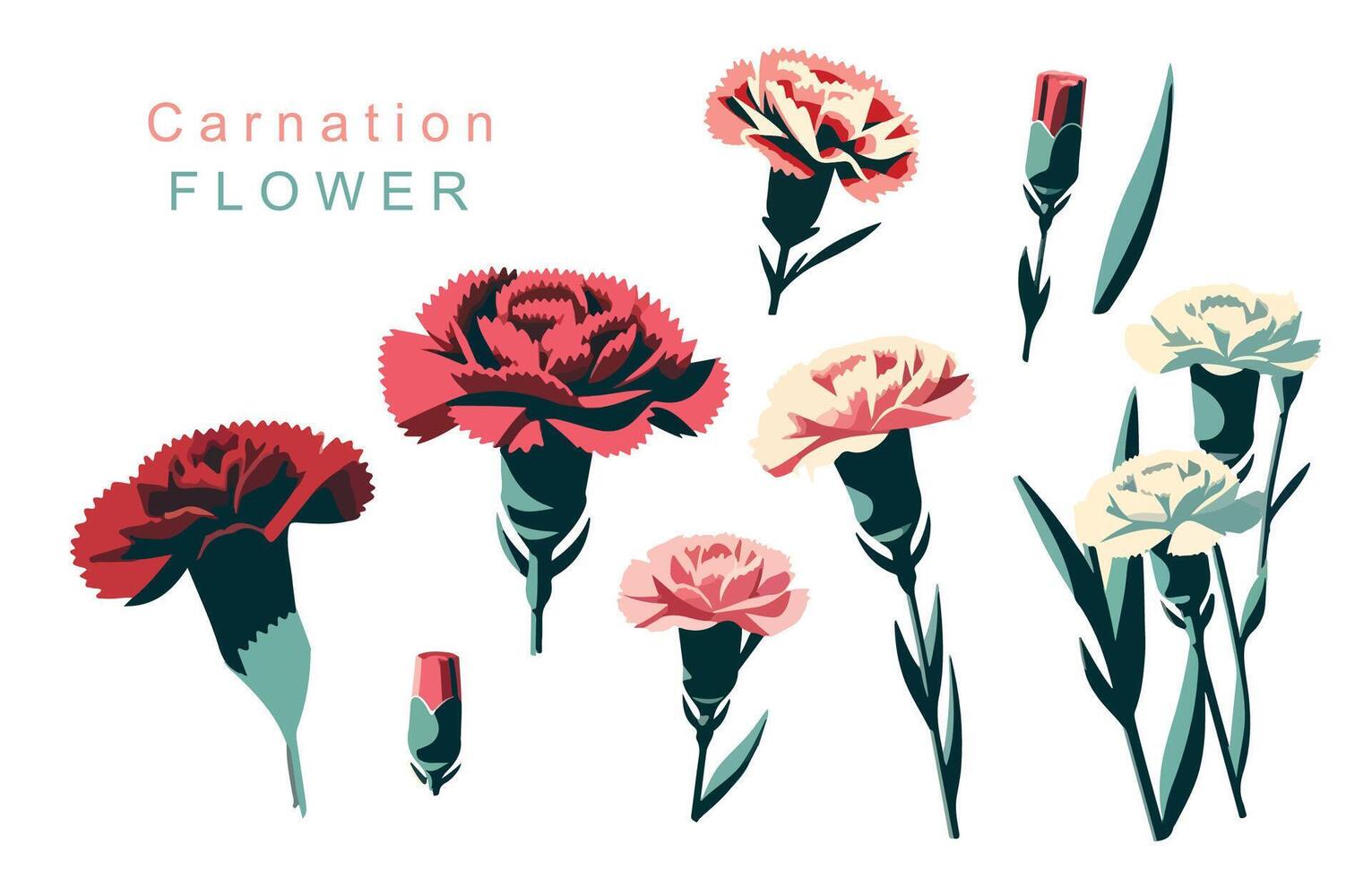 carnation object element.use for mother's day design vector