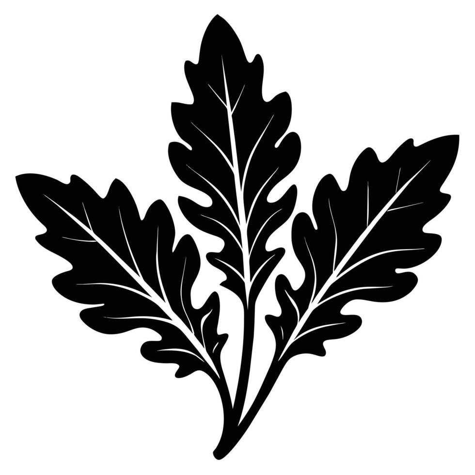 Arugula Silhouette illustration vector