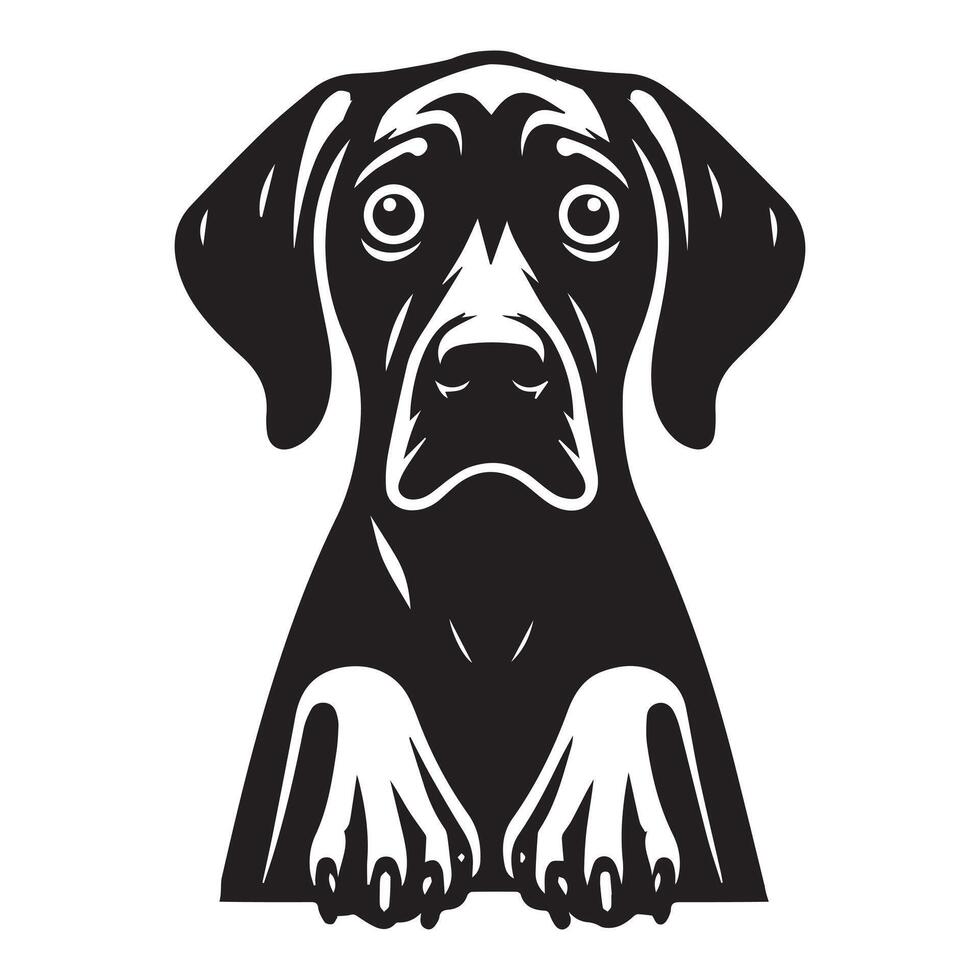 A Fearful Vizsla dog face illustration in black and white vector