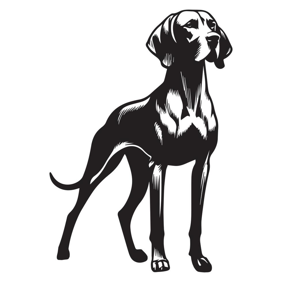A Regal Vizsla dog face illustration in black and white vector