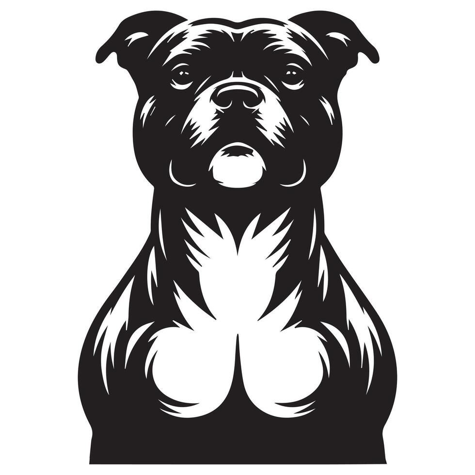 Staffy Dog - A Proud Staffordshire Bull Terrier Dog Face illustration vector