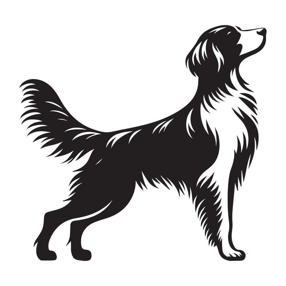 Brittany spaniel Pristine Pirouette illustration in black and white vector