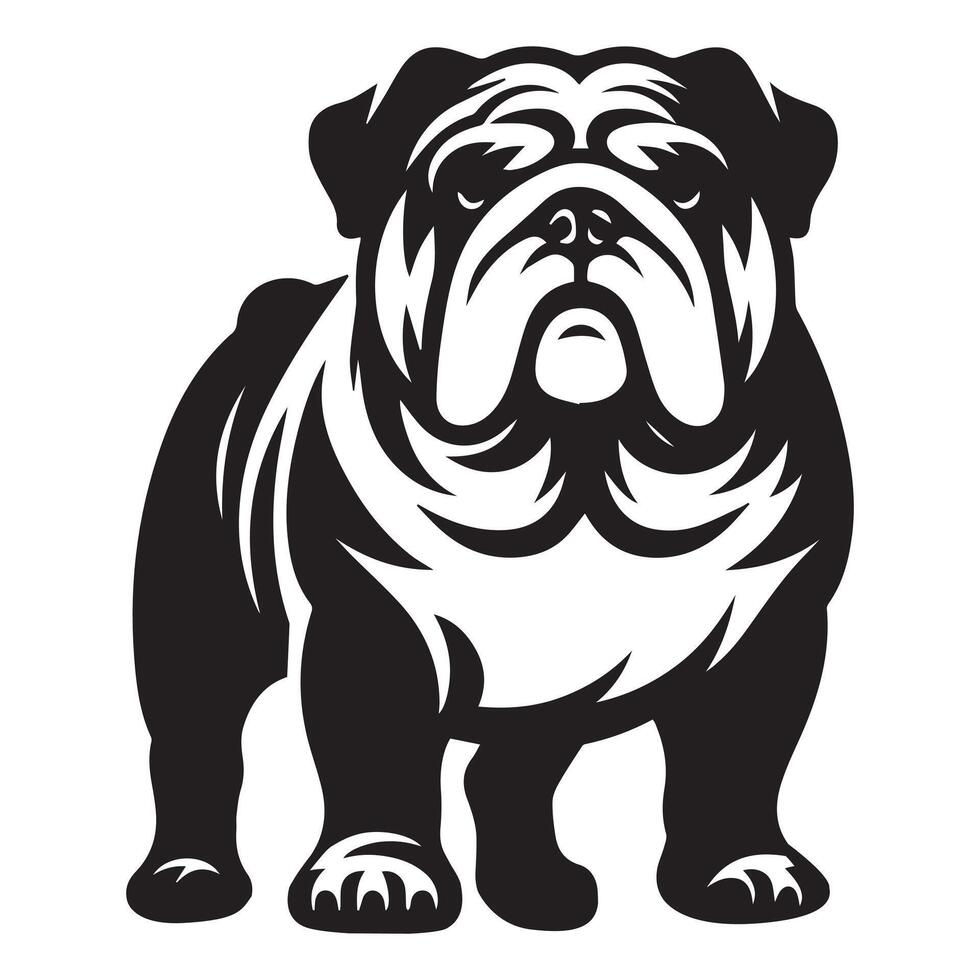 Grumpy English Bulldog illustration in black and white vector