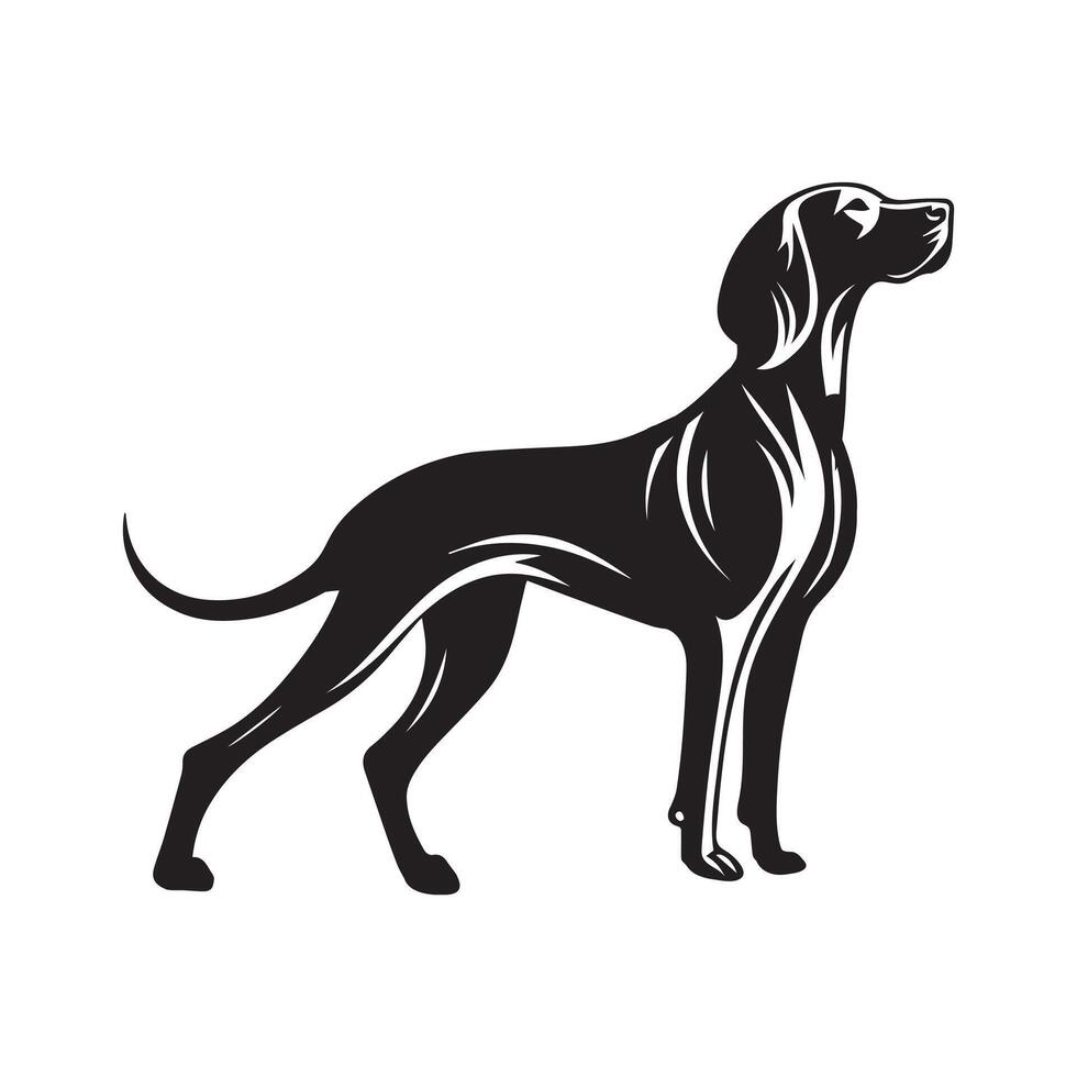 Vizsla Dog with Coat Fluttering illustration in black and white vector