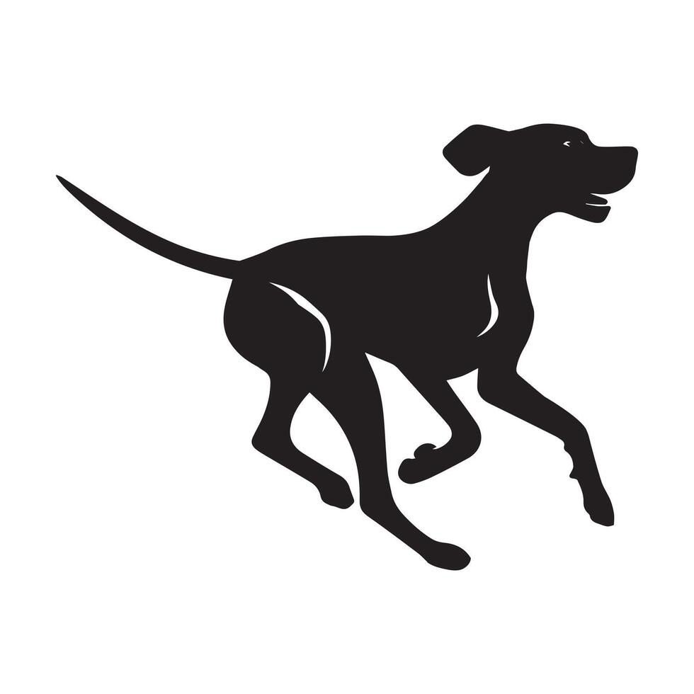 Vizsla Dog Running illustration in black and white vector