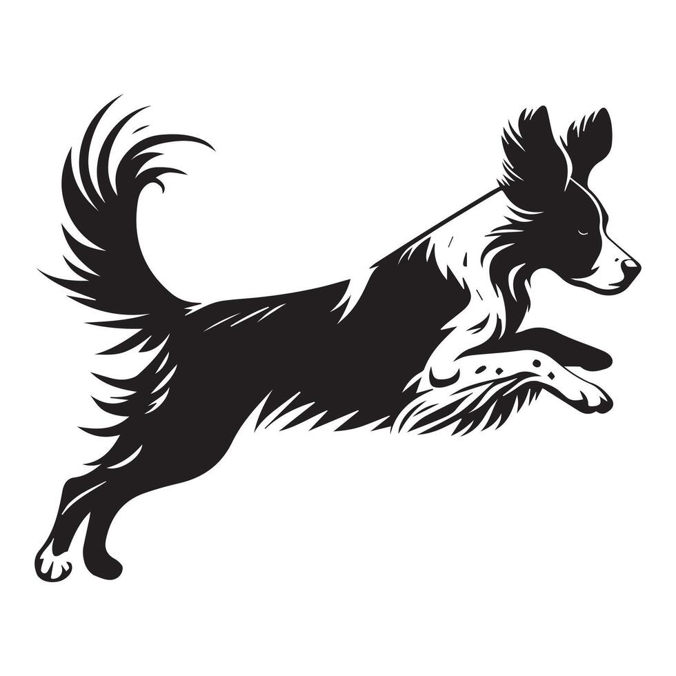 Agility Brittany Spaniel in Training illustration in black and white vector
