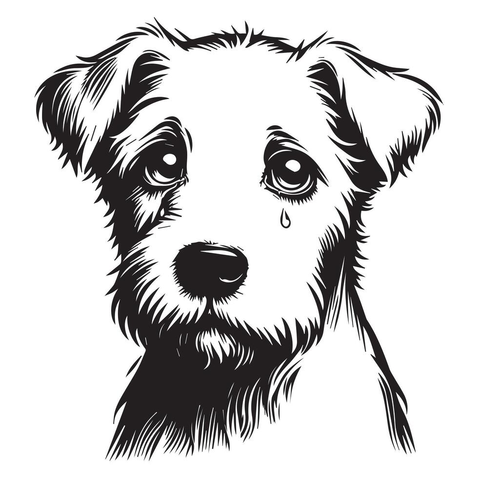 A Sorrowful West Highland White Terrier Dog Face illustration in black and white vector