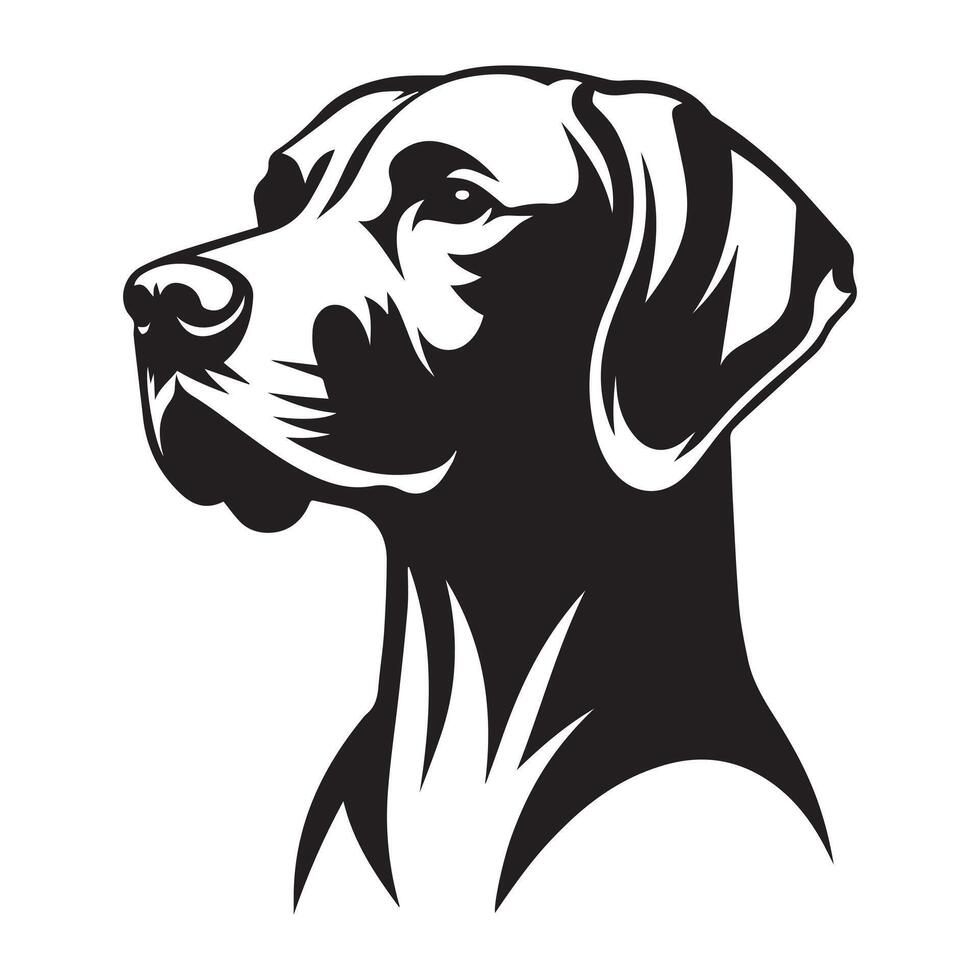 A Confident Vizsla dog face illustration in black and white vector