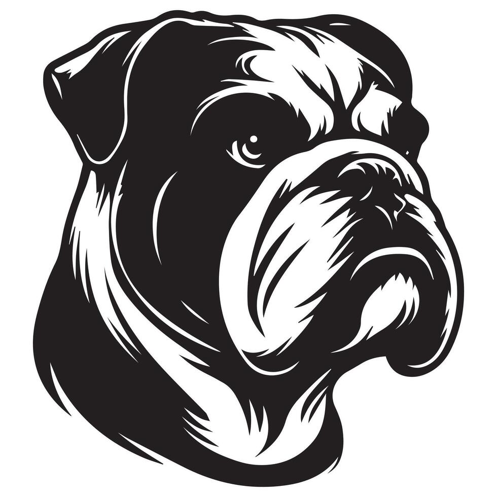 A Stern English bulldog face illustration in black and white vector