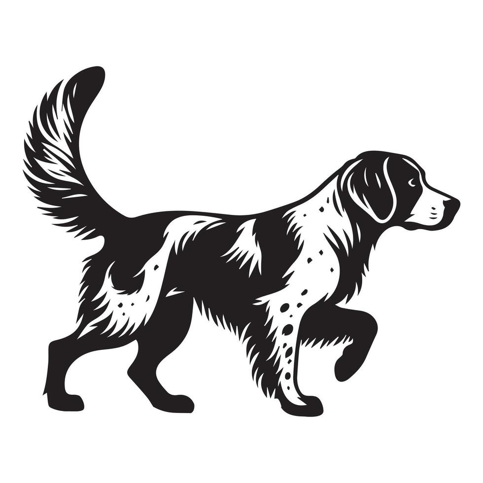 Watchful Brittany Spaniel Exploring illustration in black and white vector
