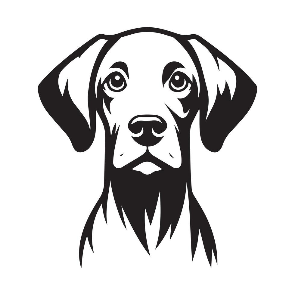 A Curious Vizsla dog face illustration in black and white vector