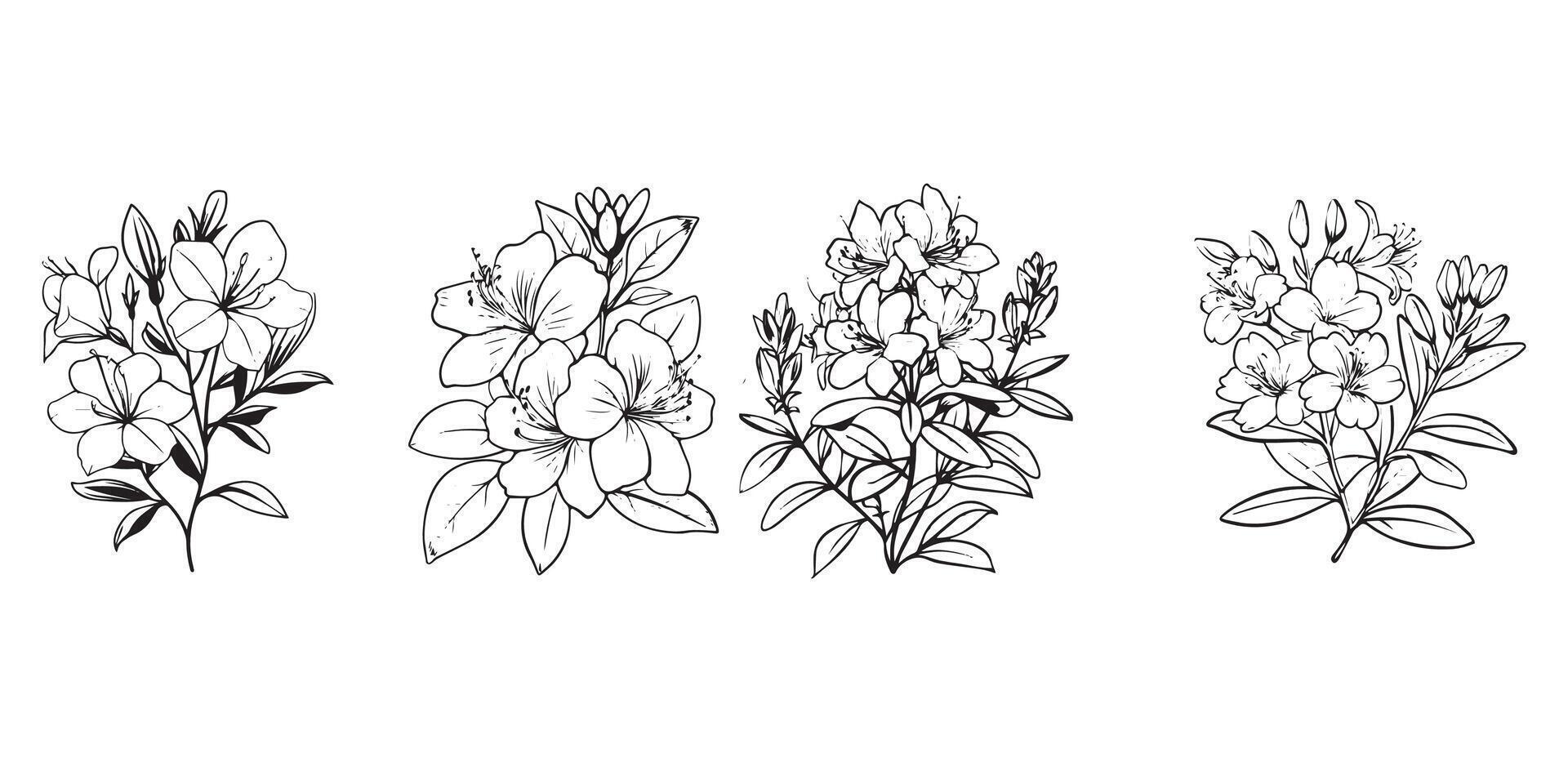 Azalea Flower Collection in black and white vector