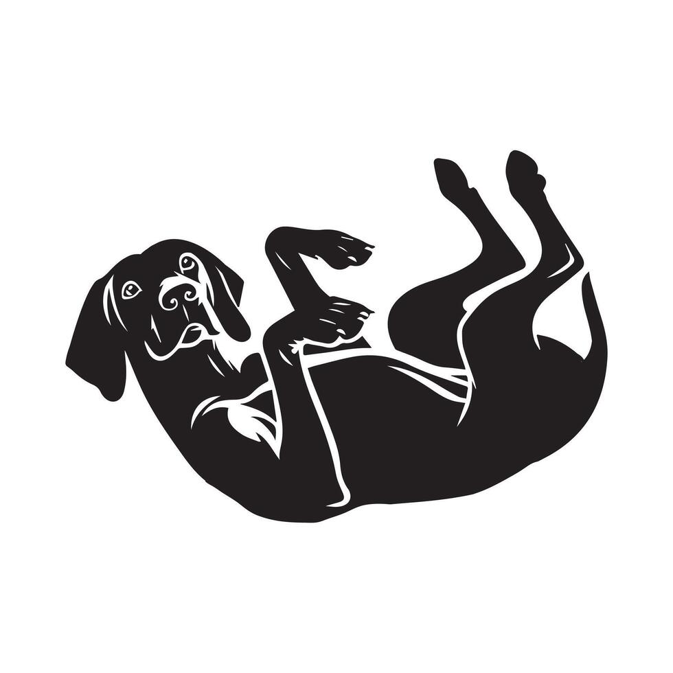 Playful Vizsla Dog Lying on Back illustration in black and white vector