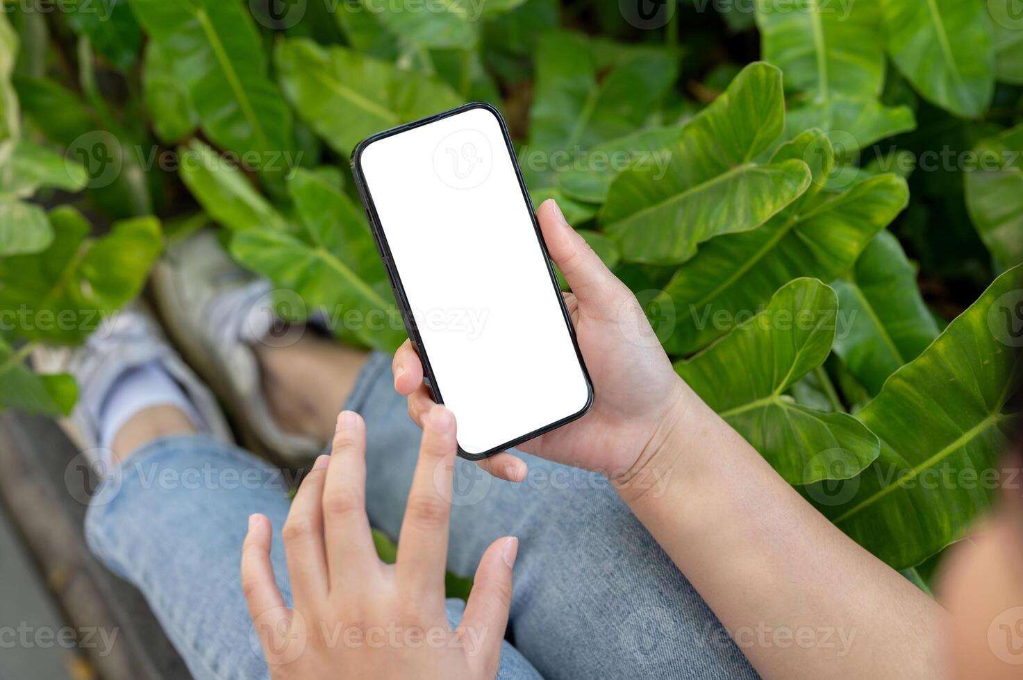A woman using her smartphone while relaxing in a green garden. A white-screen smartphone mockup. photo