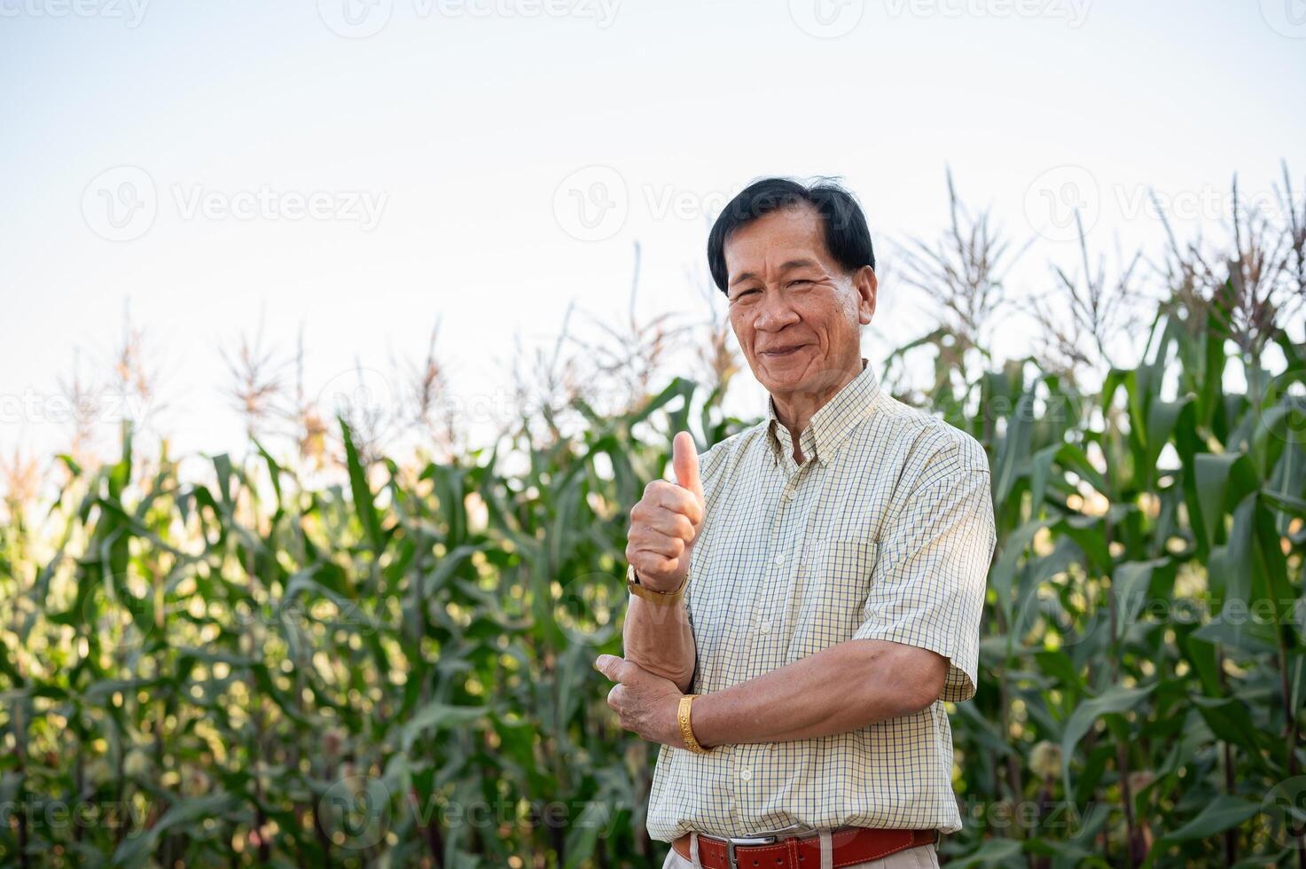 A successful senior Asian farmer stands proudly and shows his thumb up in his corn field. photo