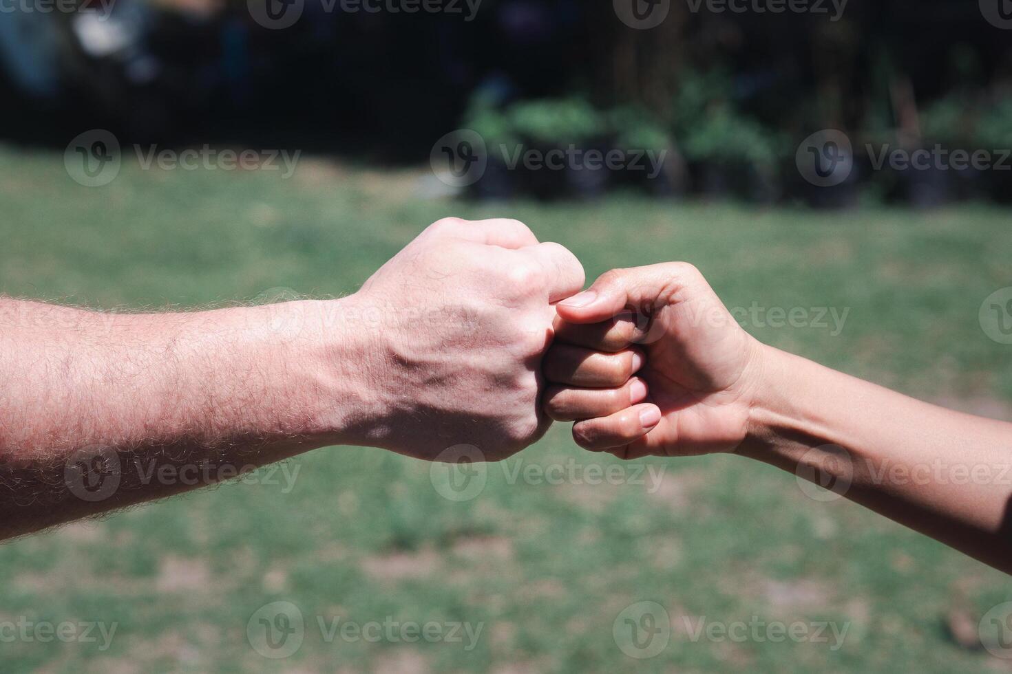 Close-up of two fists of woman and man bumping together in a garden. Concept of teamwor photo