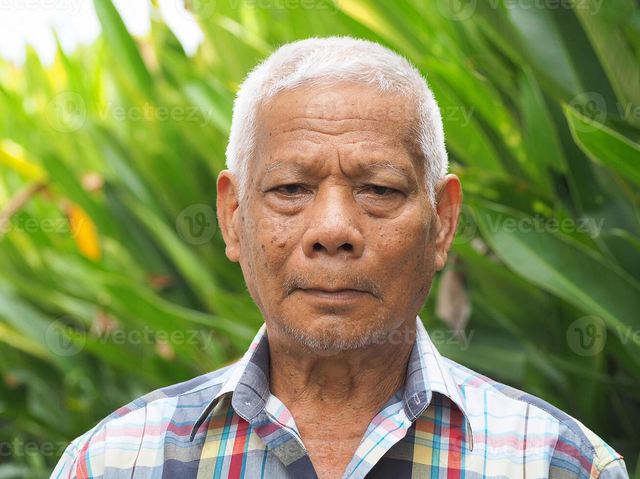 Portrait of an elderly Asian man looking at the camera while in the garden. Concept of aged people and healthcare photo