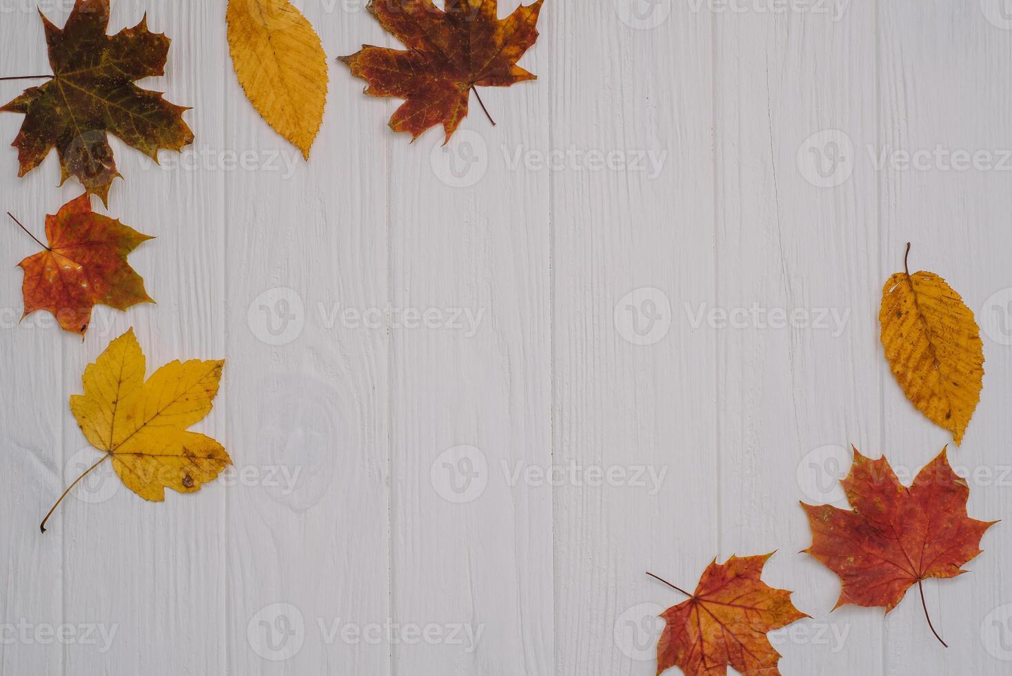 Background texture with old wooden table and yellow autumnal leaves. Autumn maple leaves on wooden background with copy space. Top view. photo
