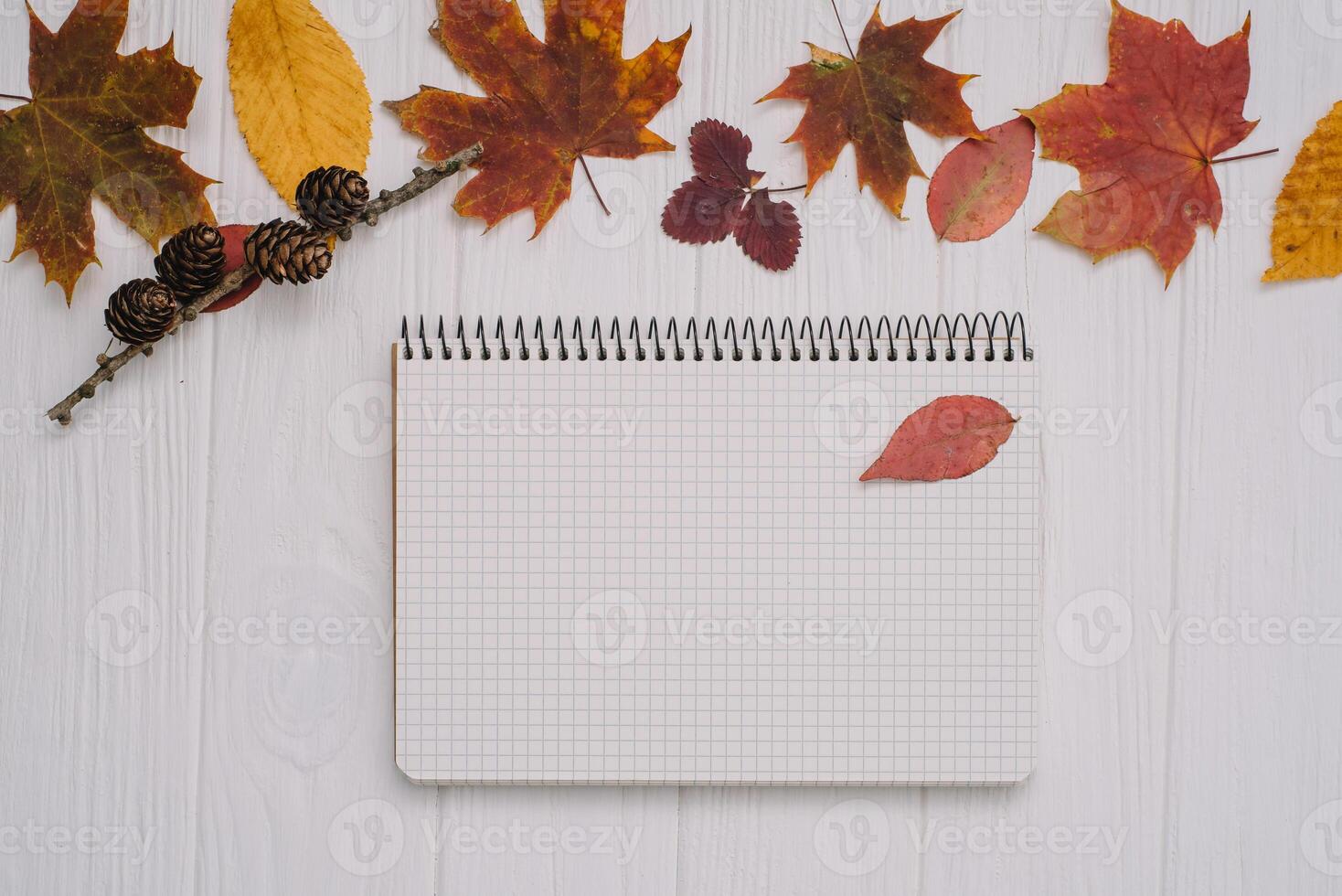 Background texture with old wooden table and yellow autumnal leaves. Autumn maple leaves on wooden background with copy space. Top view. photo